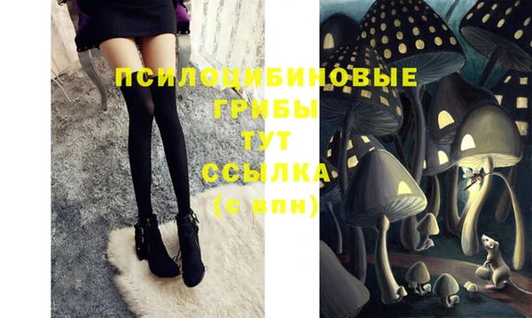 круглые Чегем